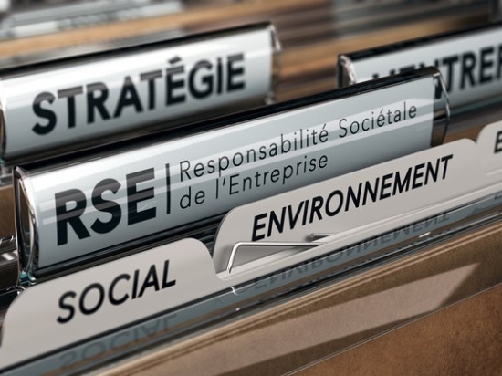 RSE (15h)